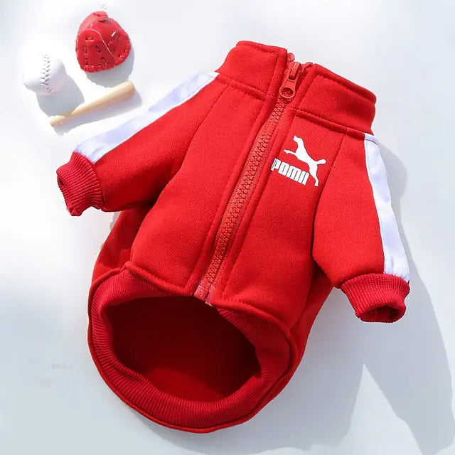 Fashion Dog Sweatshirt