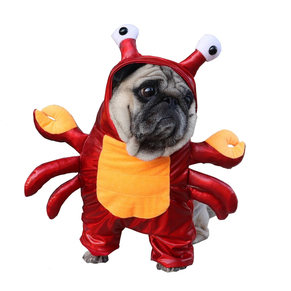 Crab Suit Halloween Pet Costume
