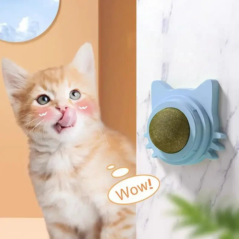 Catnip Balls: The Purr-fect Treat