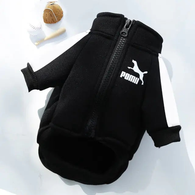 Fashion Dog Sweatshirt