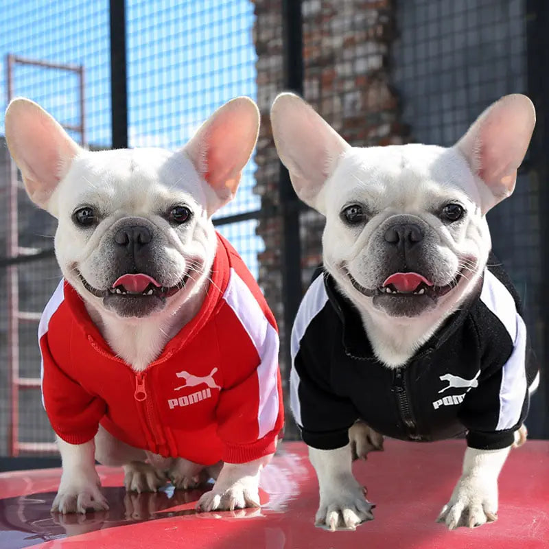 Fashion Dog Sweatshirt