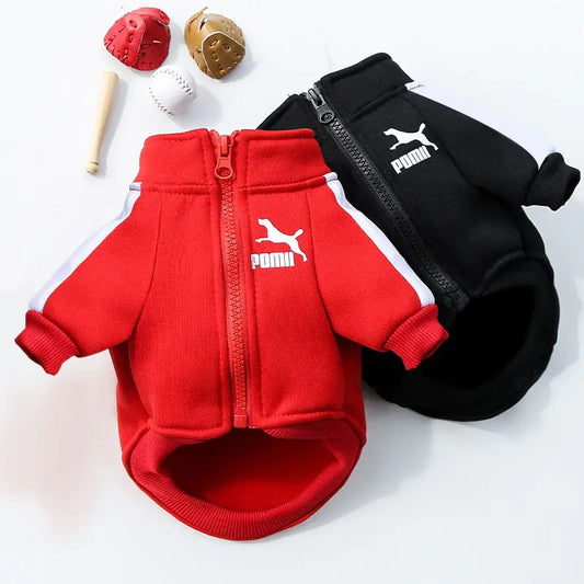 Fashion Dog Sweatshirt