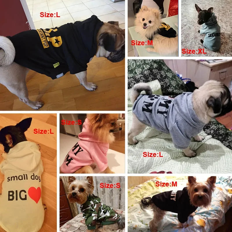Corky Quote Pet Clothes